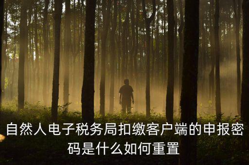 自然人納稅申報(bào)密碼如何找回，電子稅務(wù)局密碼忘記了怎么找回
