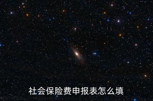 稅務(wù)系統(tǒng)社保費(fèi)申報表如何填報，社會保險費(fèi)申報表怎么填