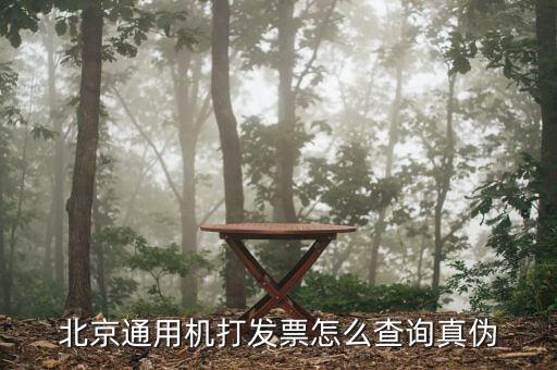 如何查詢北京普通發(fā)票真?zhèn)尾樵?，北京增值稅普通發(fā)票可以網(wǎng)上查詢真?zhèn)螁?/></a></span><span id=
