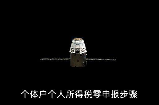 個(gè)體戶(hù)個(gè)人所得稅零申報(bào)步驟