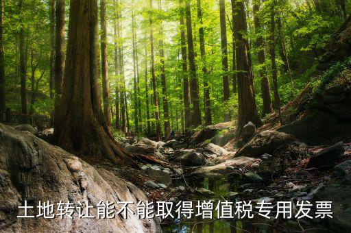 轉(zhuǎn)讓土地如何開(kāi)票，土地轉(zhuǎn)讓能不能取得增值稅專(zhuān)用發(fā)票