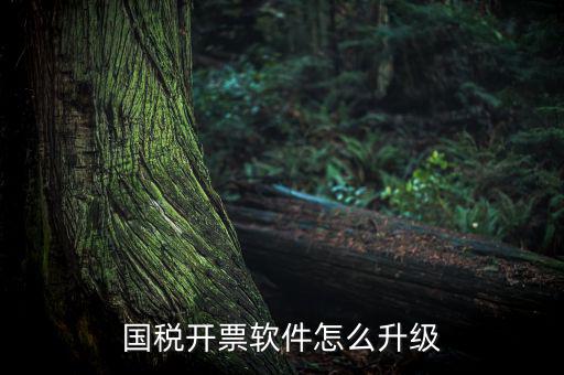 國稅開票軟件怎么升級(jí)