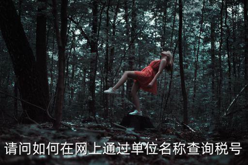 如何通過(guò)公司名稱查稅號(hào)，知道公司名字怎么查稅號(hào)嗎