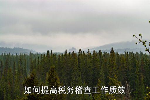 如何提高稅務稽查工作質(zhì)效