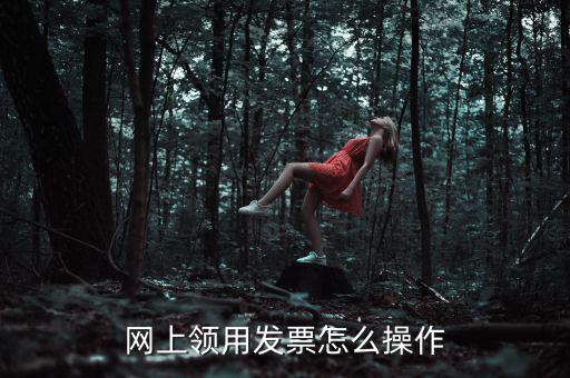 網(wǎng)上領用發(fā)票怎么操作