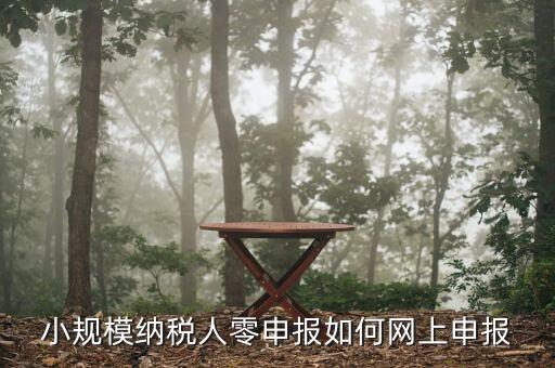 小規(guī)模納稅人零申報(bào)如何網(wǎng)上申報(bào)