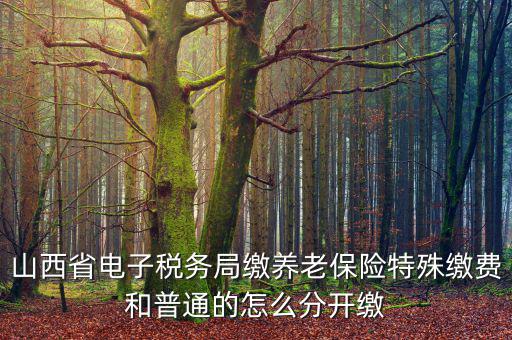 山西養(yǎng)老保險(xiǎn)如何和國(guó)稅局對(duì)接，交養(yǎng)老保險(xiǎn)交到國(guó)家稅務(wù)總局怎么辦