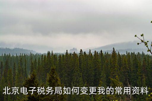 北京電子稅務局如何變更我的常用資料