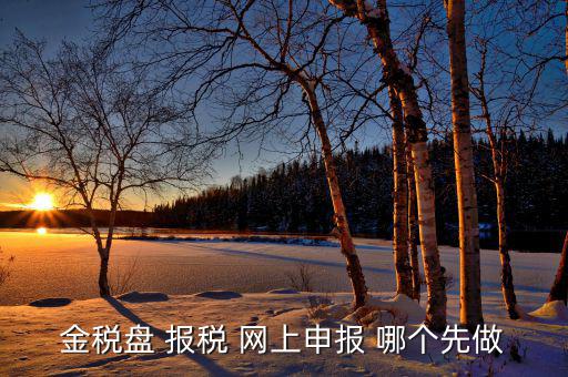 金稅盤(pán)如何網(wǎng)上申報(bào)，求金稅盤(pán)如何在電腦上報(bào)稅操作流程