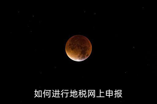 如何進行地稅網上申報