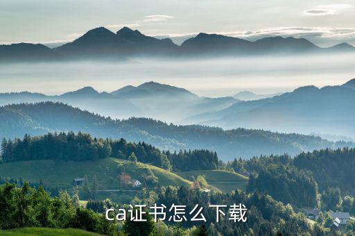 國(guó)稅ca證書如何下載，網(wǎng)上南京國(guó)稅CA證書怎么下載