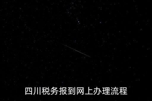 四川企業(yè)地稅如何網(wǎng)上申報(bào)系統(tǒng)，稅務(wù)申報(bào)如何網(wǎng)上申報(bào)