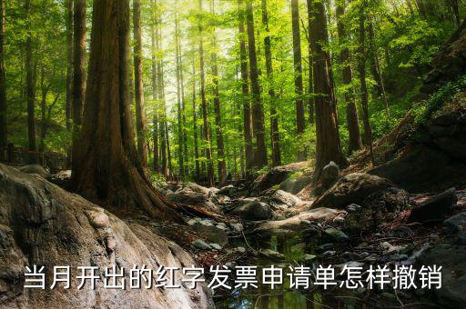 如何撤銷紅字發(fā)票申請(qǐng)書，紅字申請(qǐng)單如何作廢