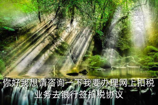 如何辦理稅庫銀，去稅務局辦理稅控盤需要什么資料流程怎么走呢