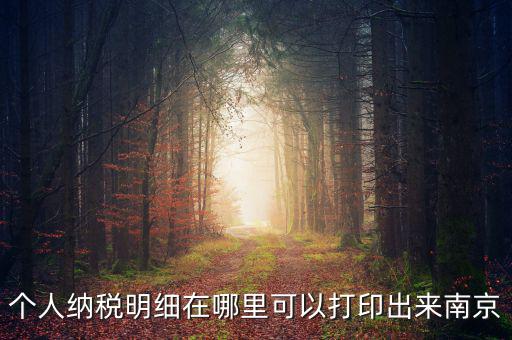 如何打印個(gè)稅明細(xì)，個(gè)人納稅明細(xì)在哪里可以打印出來(lái)南京
