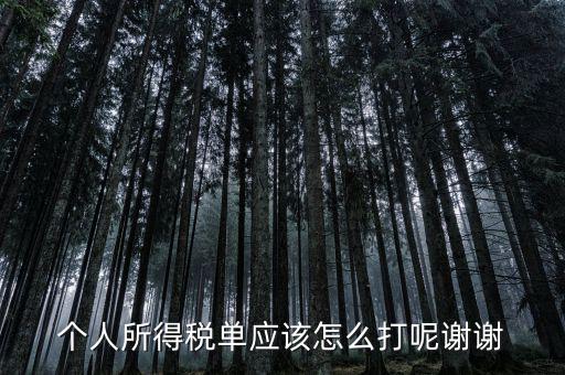 如何打印個(gè)人所得稅清單，請(qǐng)問(wèn)如何打印個(gè)人個(gè)人所得稅繳款單據(jù)