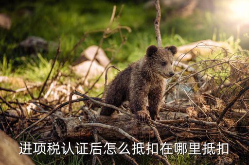 動產(chǎn)進項稅如何抵扣，進項稅是怎么個抵扣法