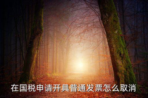 網(wǎng)上申領(lǐng)發(fā)票如何撤銷，已經(jīng)申報了的發(fā)票怎么作廢