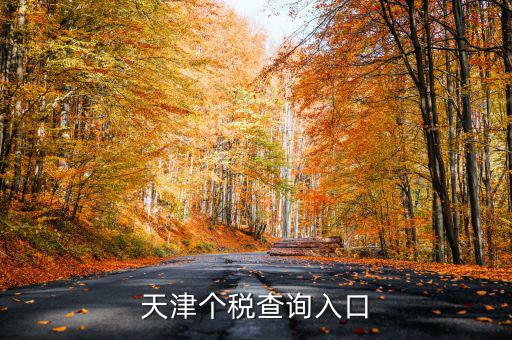 天津個稅如何查詢密碼，天津個稅查詢?nèi)肟?/></a></span><span id=