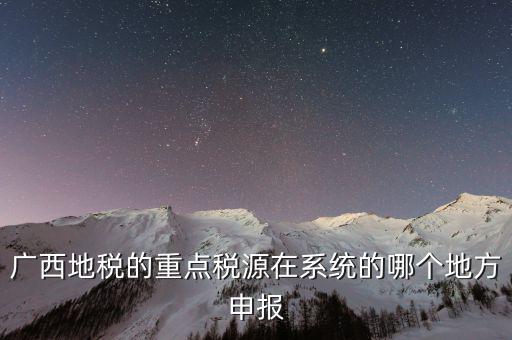 廣西地稅的重點稅源在系統(tǒng)的哪個地方申報
