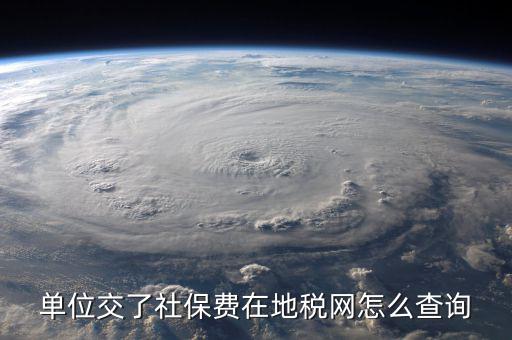 單位交了社保費(fèi)在地稅網(wǎng)怎么查詢