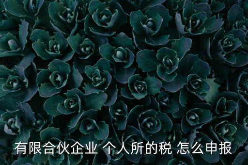 有限合伙企業(yè) 個(gè)人所的稅 怎么申報(bào)