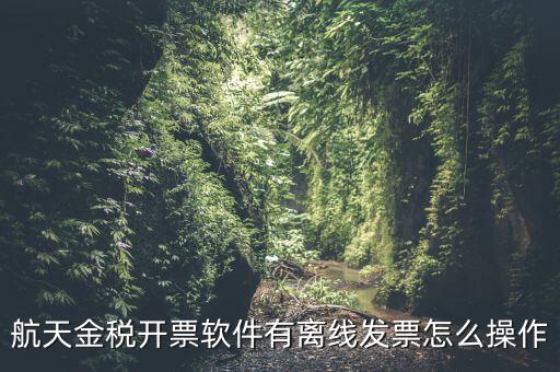 如何設(shè)置離線開(kāi)票，金稅系統(tǒng)開(kāi)票機(jī)怎樣恢復(fù)離線時(shí)限