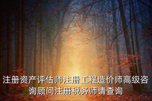 如何查詢稅務(wù)師信息，注冊稅務(wù)師報名時的信息哪里能查到