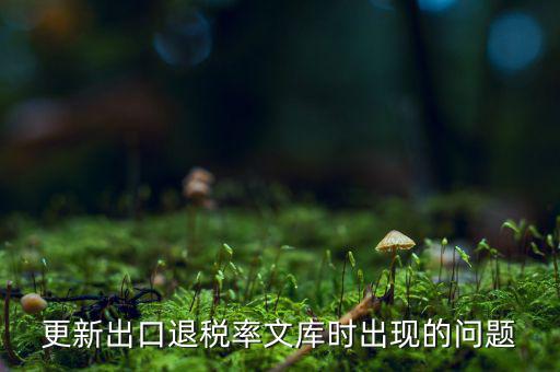 出口退稅文庫如何更新，請(qǐng)問各位出口退稅系統(tǒng)里的代碼庫怎么更新啊怎么老沒反應(yīng)的呢