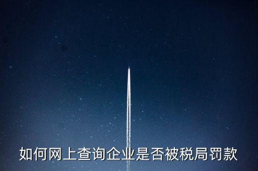 如何查稅務(wù)處罰，公司的稅務(wù)罰款去哪里查詢急