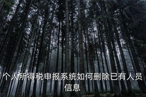金三系統(tǒng)個稅申報人員如何刪除，如何刪掉個人所得稅人員信息