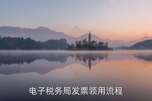 電子稅務(wù)局發(fā)票領(lǐng)用流程