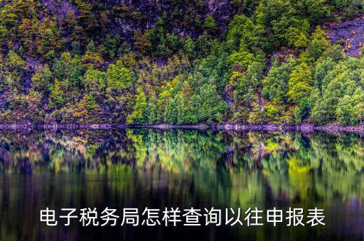 電子稅務(wù)局怎樣查詢(xún)以往申報(bào)表