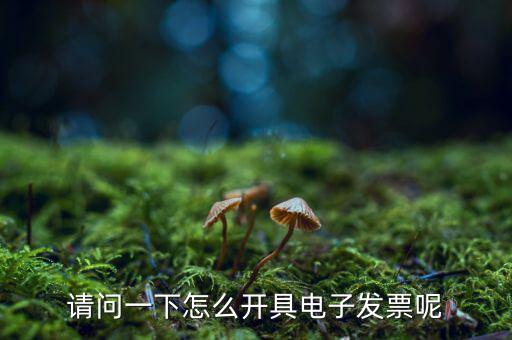 上海如何申領(lǐng)電子發(fā)票，請問一下怎么開具電子發(fā)票呢