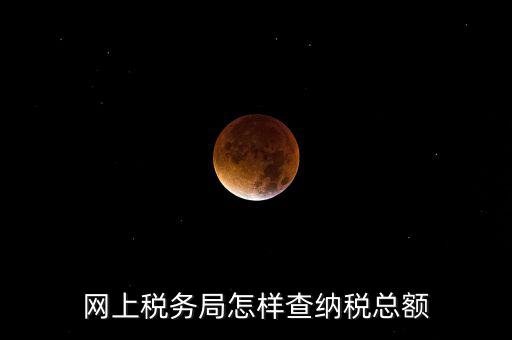 國稅局如何查稅，網(wǎng)上稅務(wù)局怎樣查納稅總額