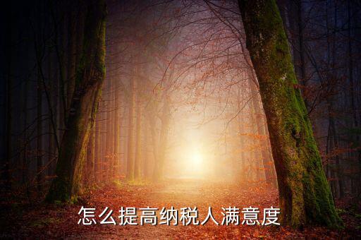 如何提升納稅人獲得感，怎么提高納稅人滿意度
