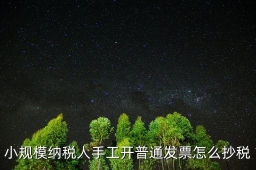 小規(guī)模納稅人開票系統(tǒng)如何抄報稅，小規(guī)模稅款控盤如何抄報稅