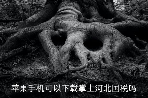 河北掌上國稅如何注冊，蘋果手機(jī)可以下載掌上河北國稅嗎