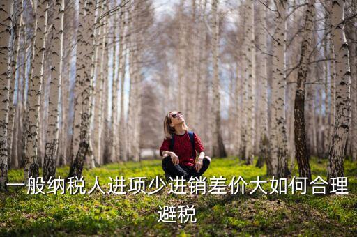 一般納稅人進(jìn)項(xiàng)少進(jìn)銷差價(jià)大如何合理避稅