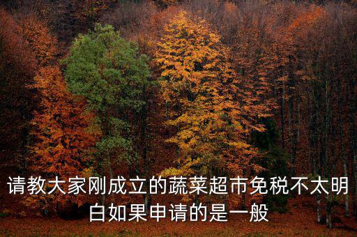 蔬菜免稅如何申請，如何申請蔬菜免稅發(fā)票