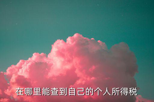 如何 查稅法，查看稅收法
