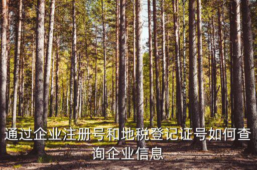 企業(yè)稅務(wù)信息如何查詢，通過企業(yè)注冊號和地稅登記證號如何查詢企業(yè)信息