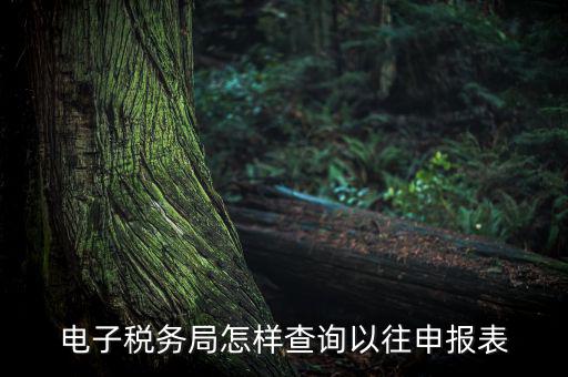 電子稅務局怎樣查詢以往申報表