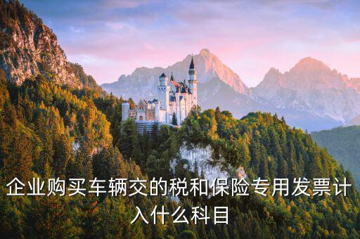 汽車保險(xiǎn)收到專票如何入賬，車輛保險(xiǎn)怎么入賬