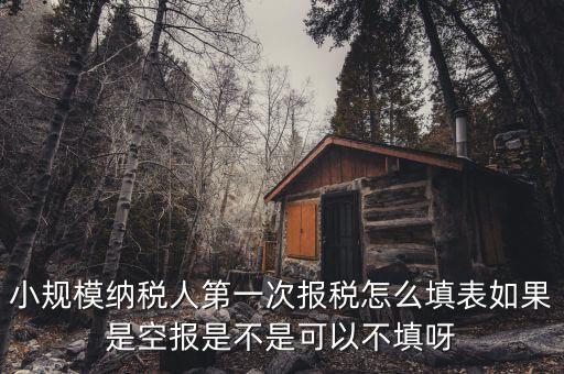 如何填寫首次辦稅補(bǔ)充信息表，稅務(wù)登記補(bǔ)充信息采集表怎么填 誰知道啊