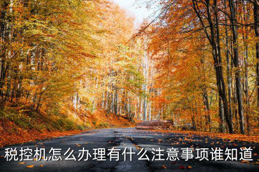 稅控機怎么辦理有什么注意事項誰知道