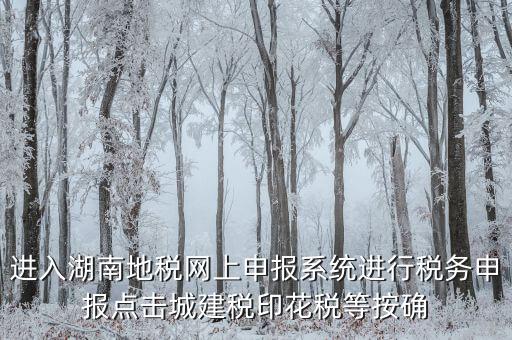 湖南省地稅局個(gè)人如何注冊(cè)，湖南地稅網(wǎng)上申報(bào)系統(tǒng)