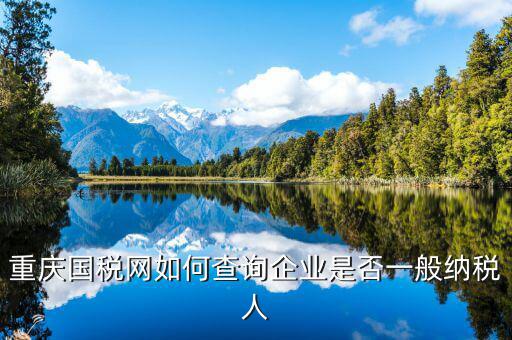 如何查詢增值稅一般納稅人資格，重慶國稅網(wǎng)如何查詢企業(yè)是否一般納稅人