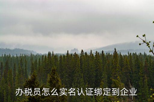 重慶稅務(wù)局辦稅人員如何綁定，個(gè)人怎么綁定企業(yè)辦稅員