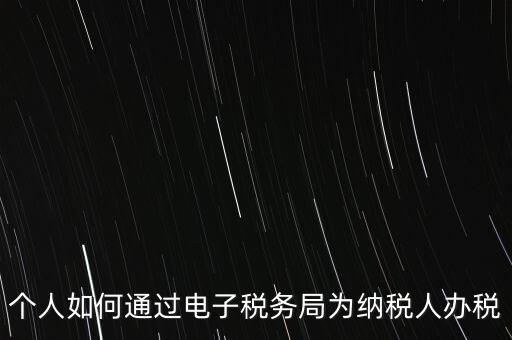 個人如何通過電子稅務局為納稅人辦稅